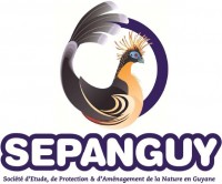 SEPANGUY