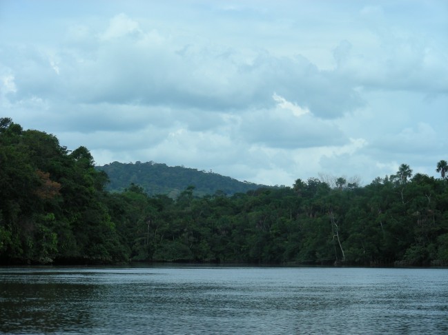 Rivière Orapu, limite inférieure de la réserve © RNR Trésor