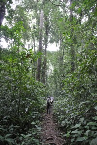 Sur le sentier