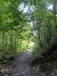 L'éco-compteur sur le sentier © RNR Trésor