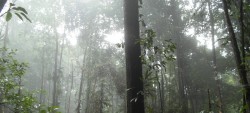 Avec la pluie va, tout s’en va…