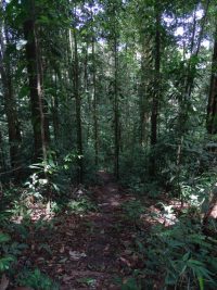 Sentier botanique © RNR Trésor