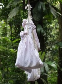 Les oiseaux fraichement capturés attendent tranquillement au calme dans leur sac de toile © Robin Kreus