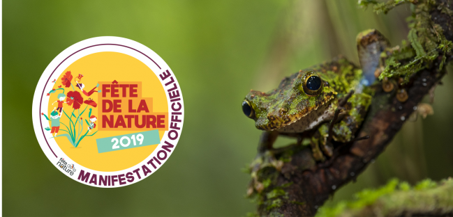 Visite guidée nocturne pour fêter la nature