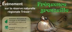 Fréquence grenouille 2021