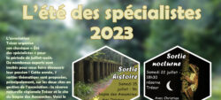 Été des spécialistes 2023