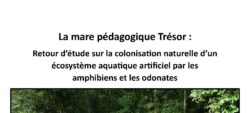 La mare pédagogique Trésor