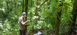 Test d’un nouveau protocole d’étude de la grande faune en Guyane