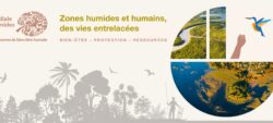 Journée mondiale des Zones Humides