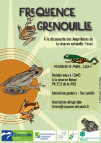 Affiche Fréquence Grenouille 2024