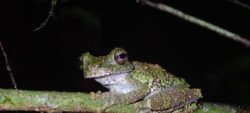 Suivis écologiques sur la réserve