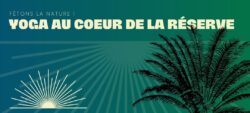 Yoga au cœur de la Réserve