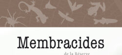 Livret membracides