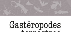 Livret Gastéropodes