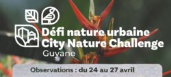 City Nature Challenge 2026