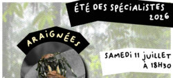 Eté des spécialistes 2026 – Sortie Araignées