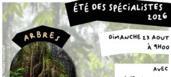 Arbres