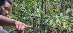 Zoom sur les derniers projets pédagogiques