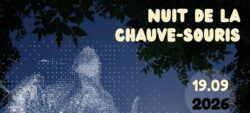 Nuit de la chauve-souris à la maison de la réserve Trésor